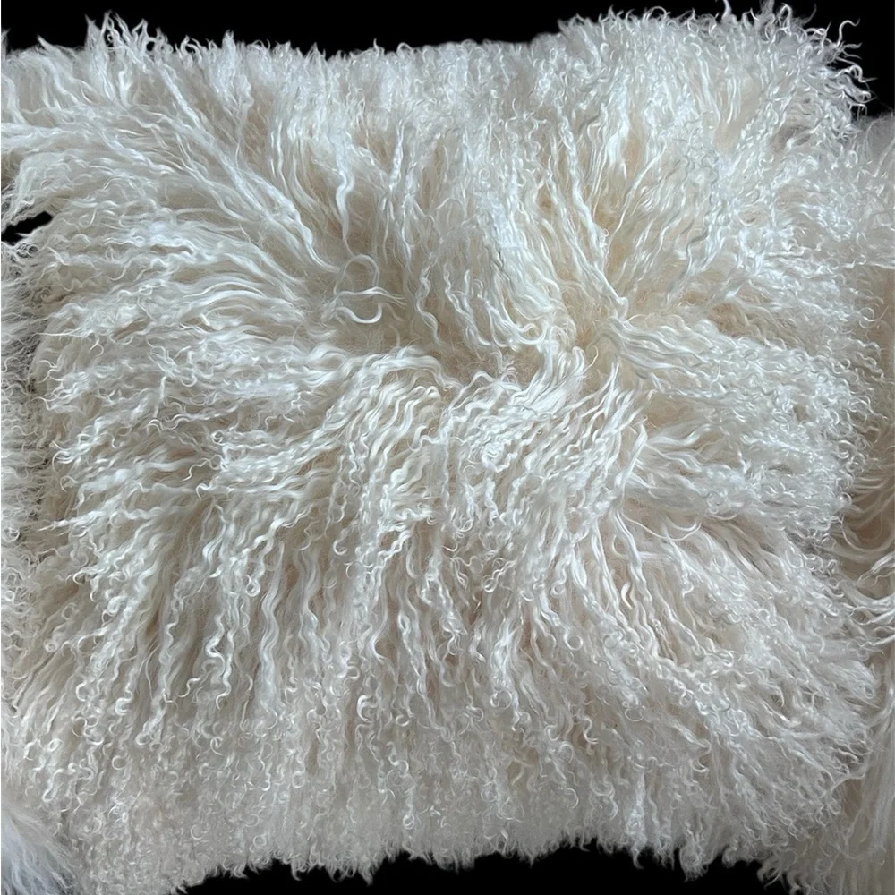 West Elm Cream Accent Pillows